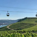 Zur Goldenen Traube * Rüdesheim am Rhein