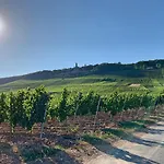 Zur Goldenen Traube * Rüdesheim am Rhein