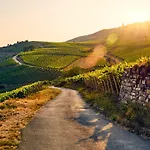 Zur Goldenen Traube * Rüdesheim am Rhein