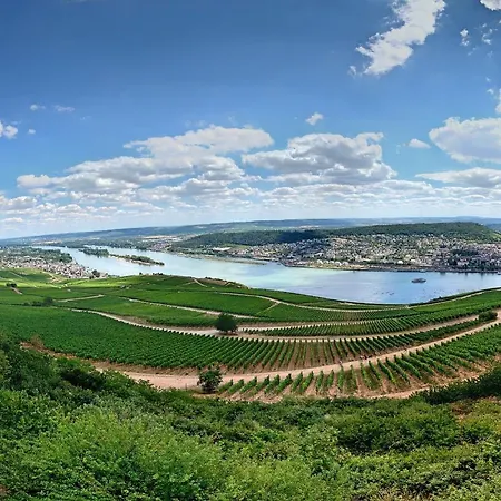 Zur Goldenen Traube Apartamento *