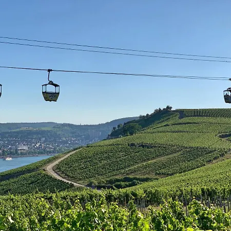 Zur Goldenen Traube * Rüdesheim am Rhein