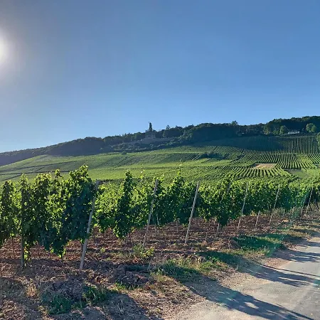 Zur Goldenen Traube * Rüdesheim am Rhein