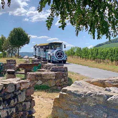 Zur Goldenen Traube Διαμέρισμα *