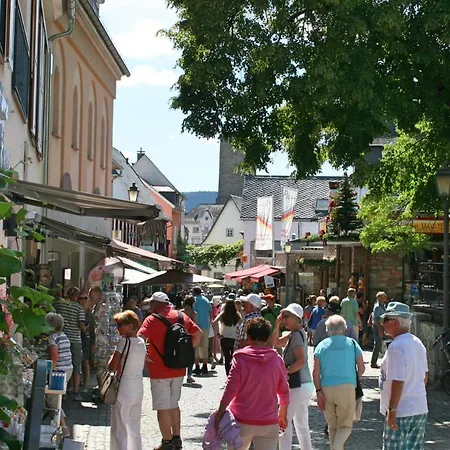 Apartament Zur Goldenen Traube Rüdesheim nad Renem
