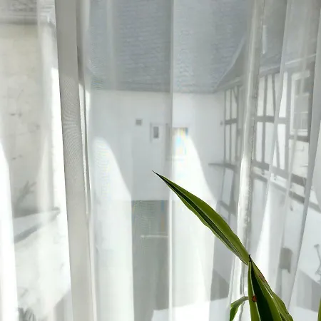 Apartment Zur Goldenen Traube *