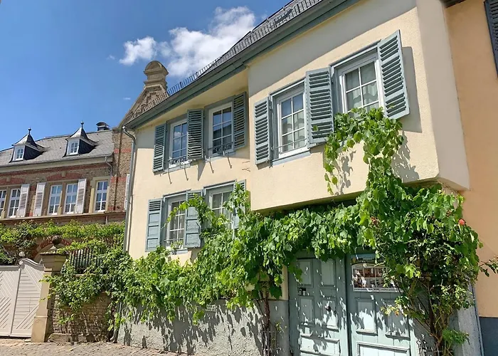 Zur Goldenen Traube *