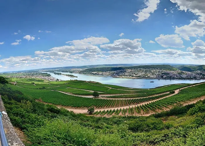 Zur Goldenen Traube Appartement *