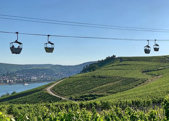 Zur Goldenen Traube * Rüdesheim am Rhein