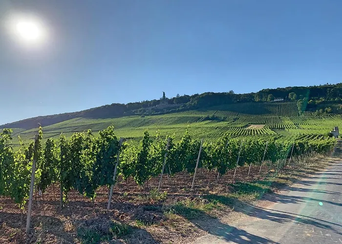 Zur Goldenen Traube * Rüdesheim am Rhein