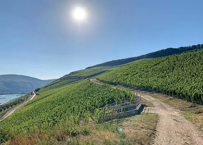 Zur Goldenen Traube Appartement Rüdesheim am Rhein