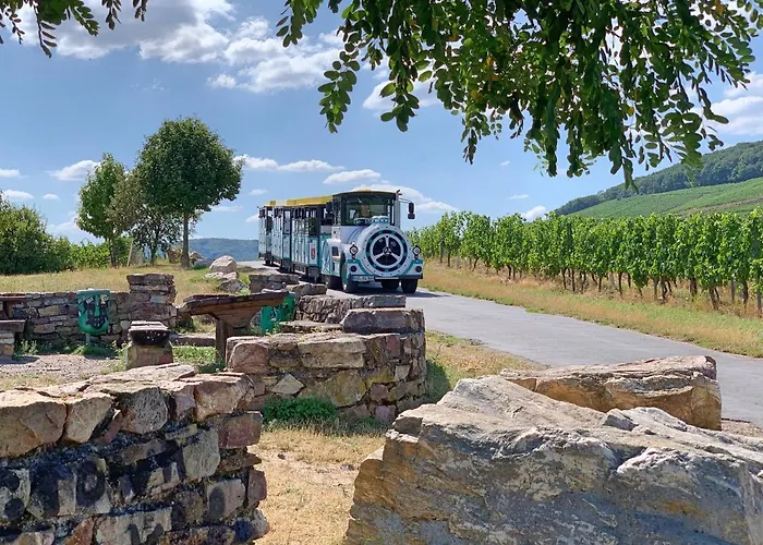 Zur Goldenen Traube Διαμέρισμα *