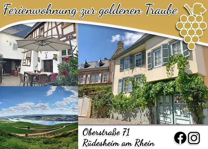 Zur Goldenen Traube Appartement *