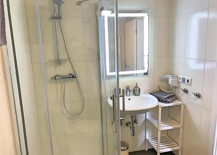 Zur Goldenen Traube Appartement