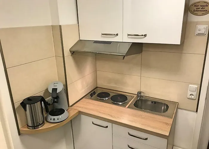 Zur Goldenen Traube Appartement