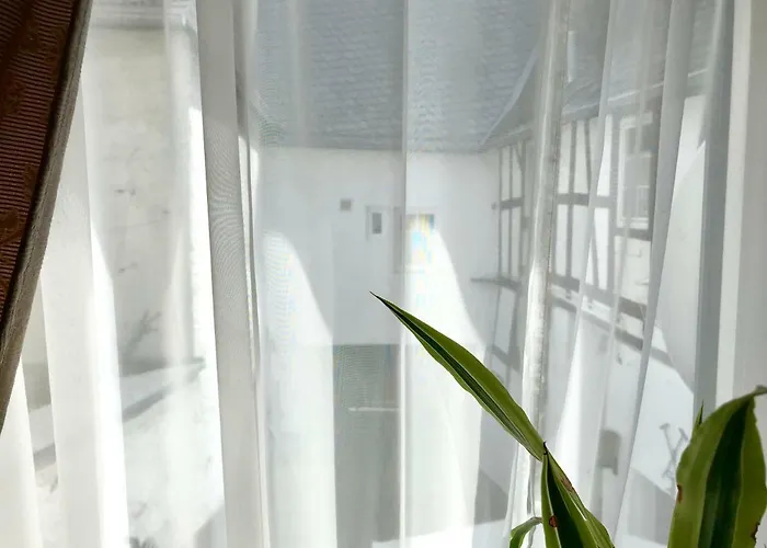 Appartement Zur Goldenen Traube *