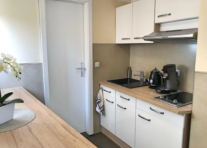 Zur Goldenen Traube * Rüdesheim am Rhein